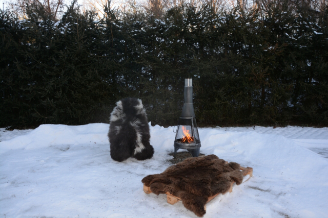 Rarität Tiroler Steinschaf (öko)
